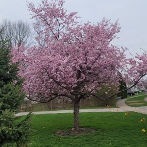 Meet your Posher, Pam